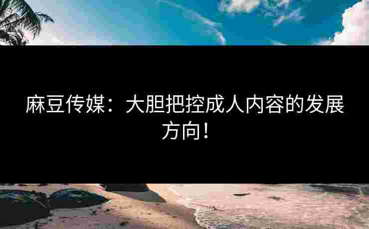 麻豆传媒：大胆把控成人内容的发展方向！
