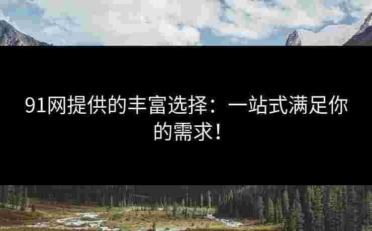 91网提供的丰富选择：一站式满足你的需求！